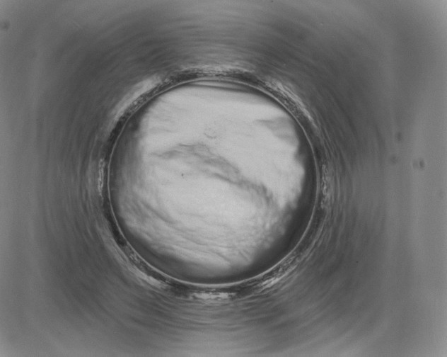 X0000080770495200701021125