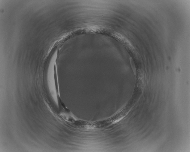 X0000080770496200701021125