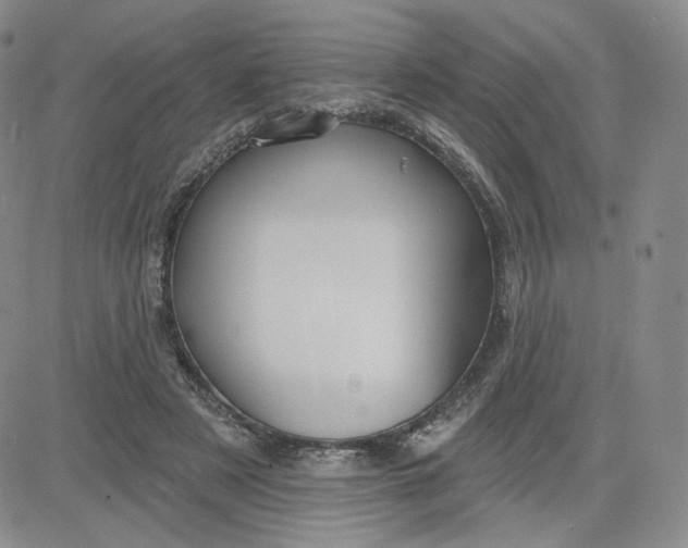 X0000080770497200701021125