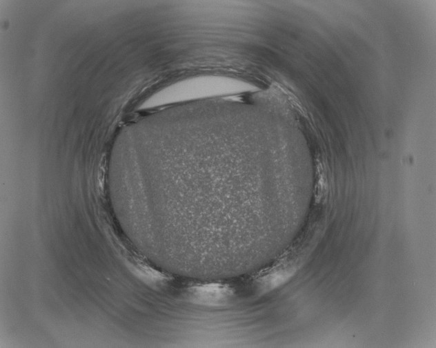 X0000080770499200701021125