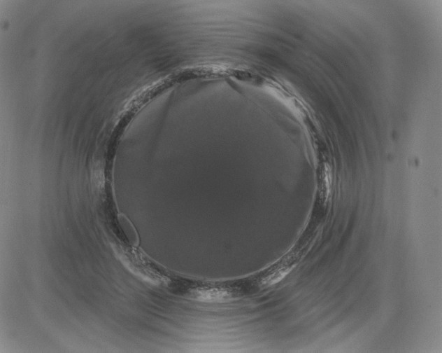 X0000080770500200701021125