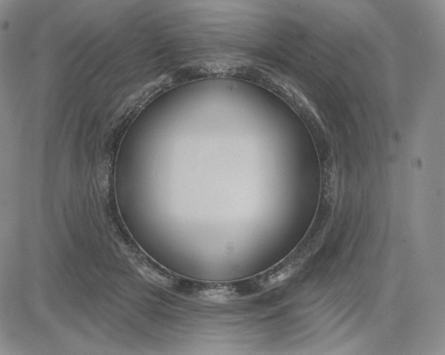 X0000080770505200701021125