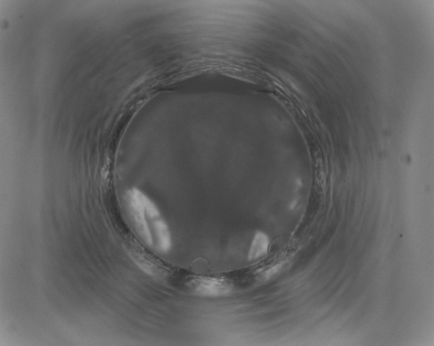 X0000080770507200701021125