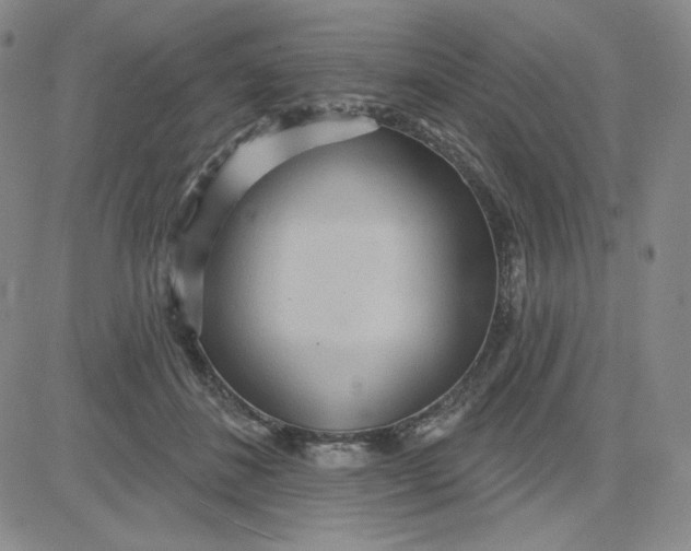 X0000080770508200701021125