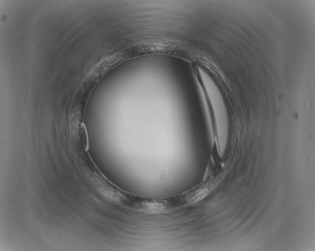 X0000080770509200701021125