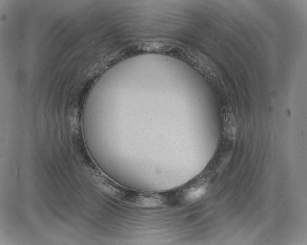 X0000080770510200701021125