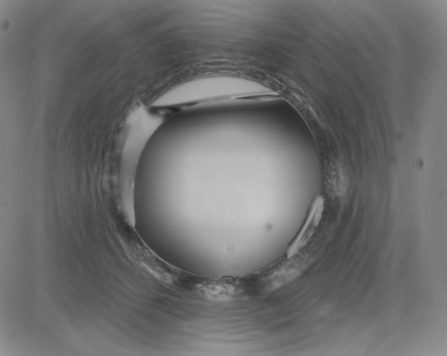 X0000080770512200701021125