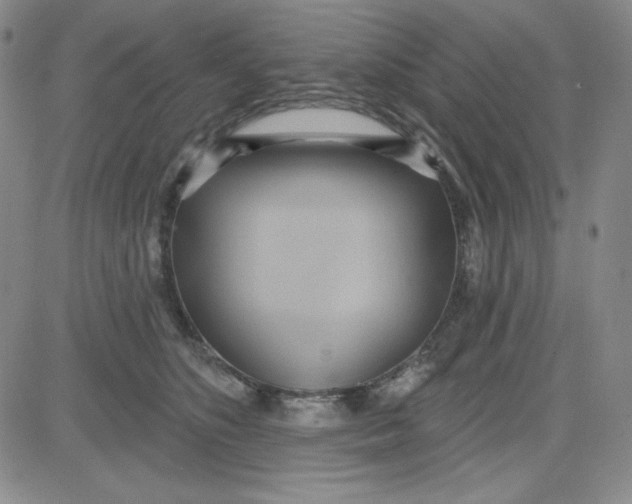 X0000080770516200701021124