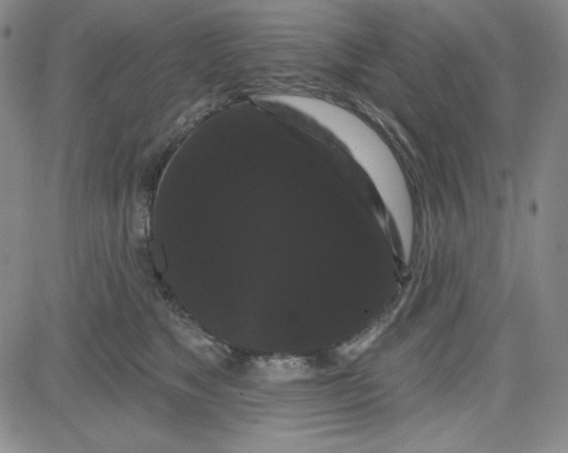 X0000080770517200701021124