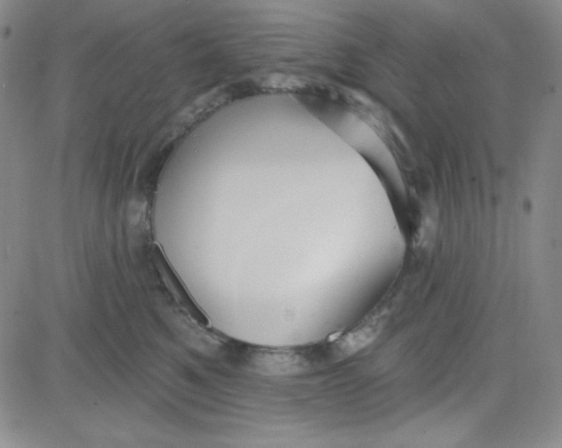 X0000080770521200701021124