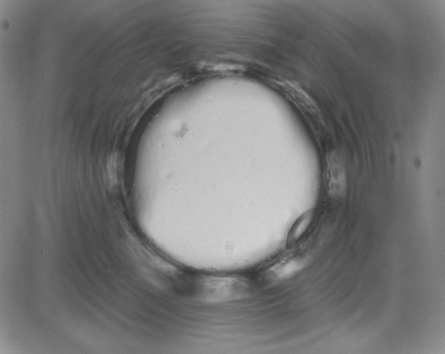 X0000080770523200701021124