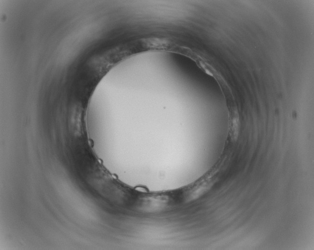 X0000080770525200701021124