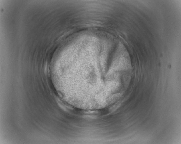 X0000080770527200701021124