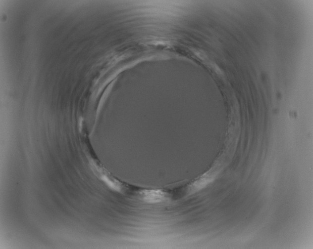 X0000080770528200701021124