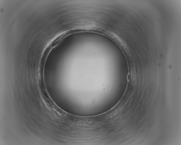 X0000080770532200701021124