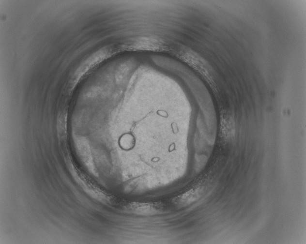 X0000080770534200701021124