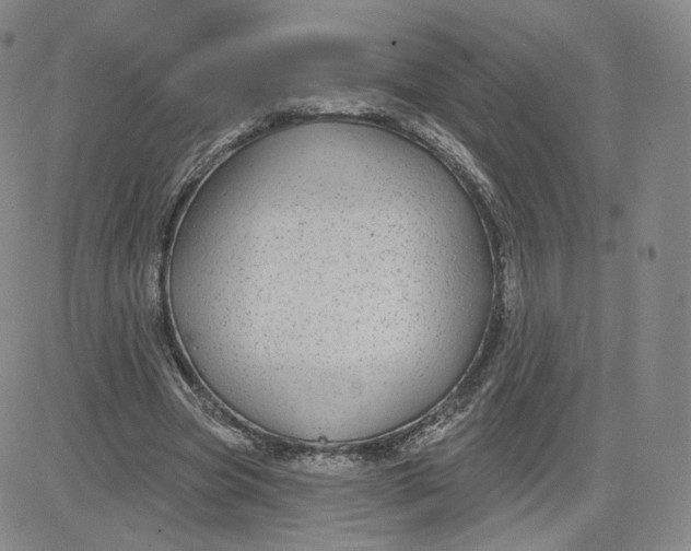 X0000080770537200701021124