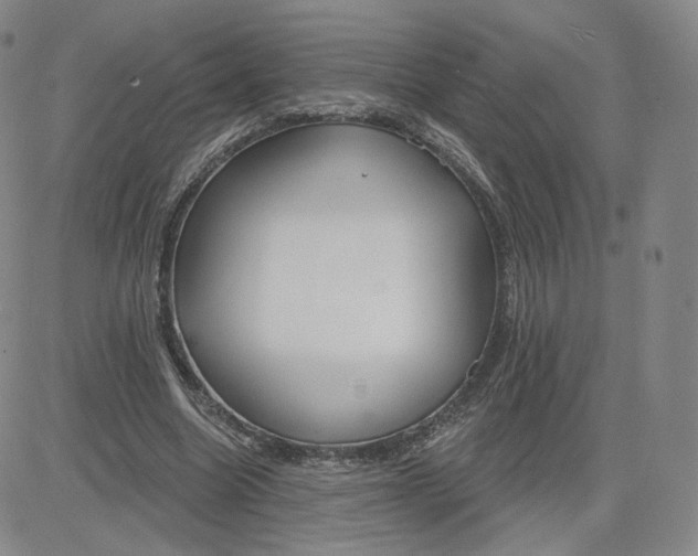 X0000080770538200701021124