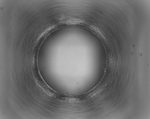 X0000080770539200701021124