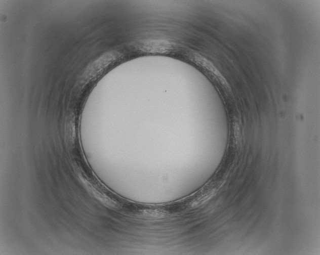 X0000080770541200701021124