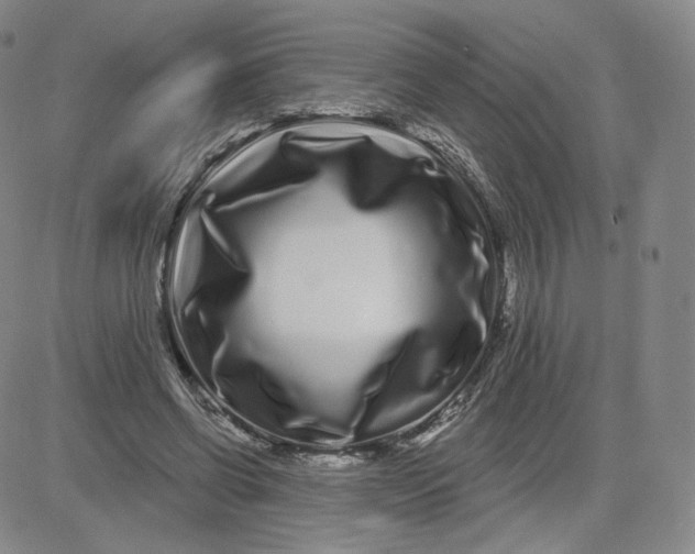 X0000080770542200701021124