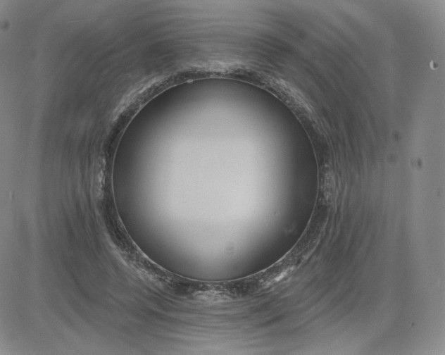 X0000080770544200701021124