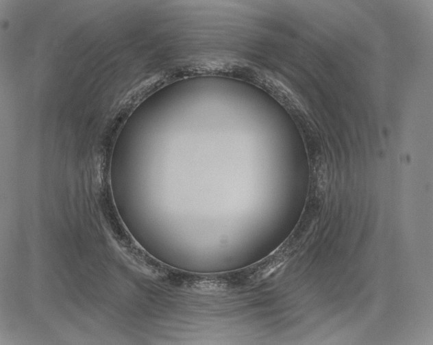 X0000080770546200701021124