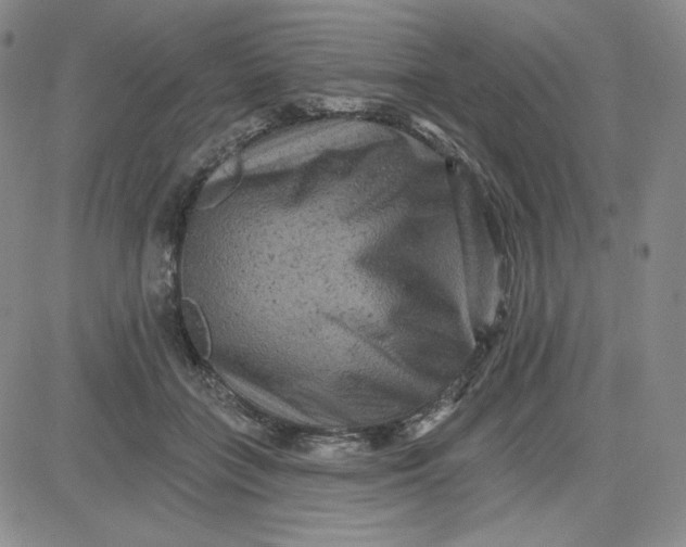 X0000080770555200701021124