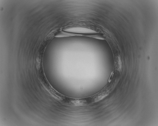 X0000080770558200701021124