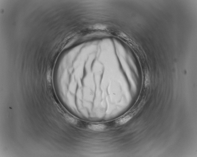 X0000080770561200701021124