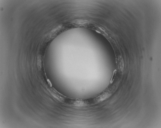 X0000080770562200701021124