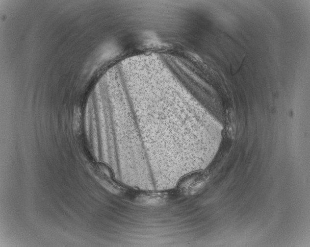 X0000080770563200701021124