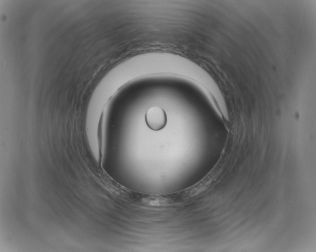 X0000080770564200701021124