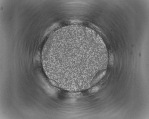 X0000080770571200701021124