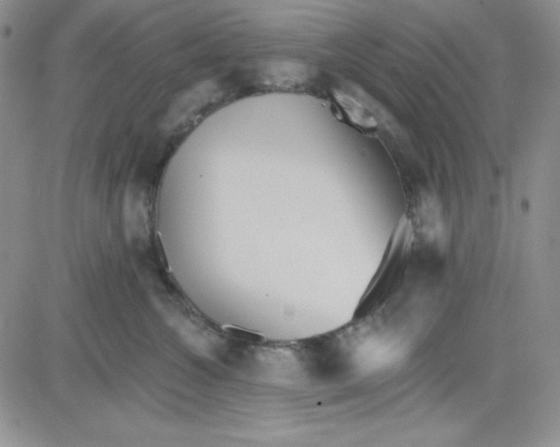 X0000080770572200701021124