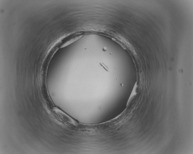 X0000080770580200701021123