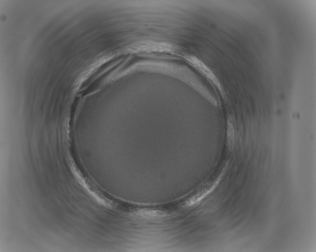 X0000080770581200701021123