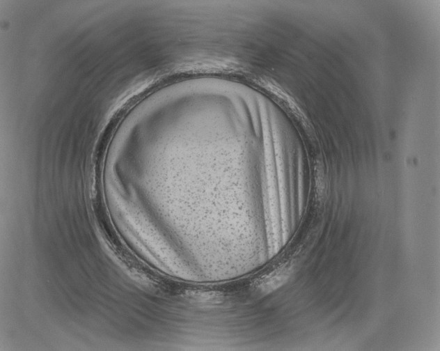 X0000080770582200701021123