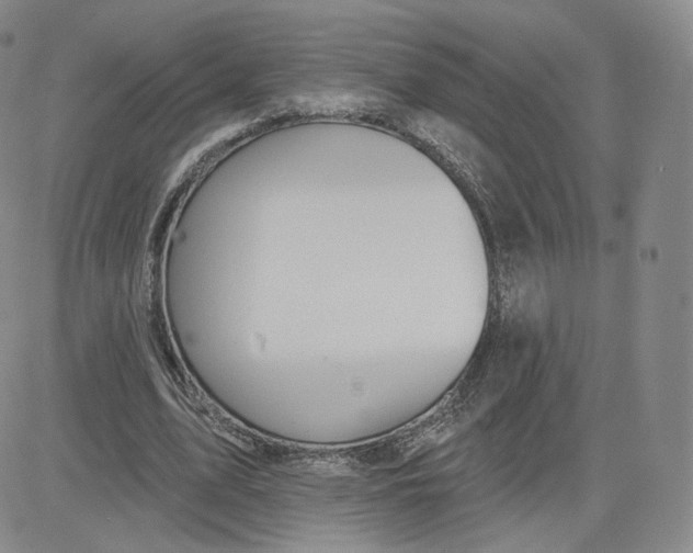 X0000080770583200701021123