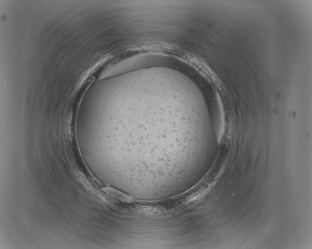 X0000080770585200701021123