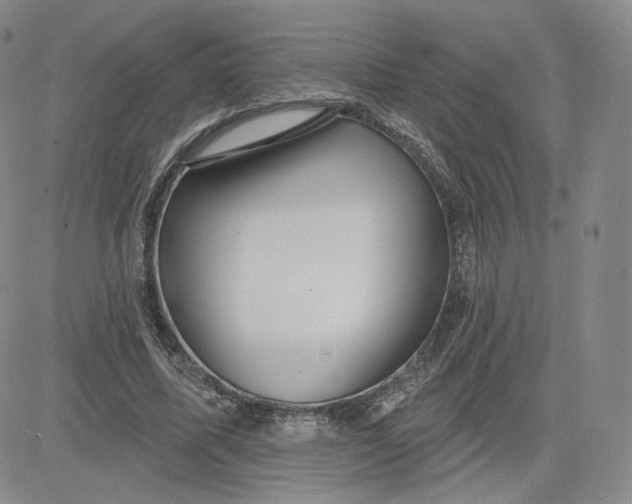 X0000080770587200701021123