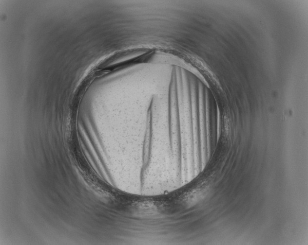 X0000080770588200701021123