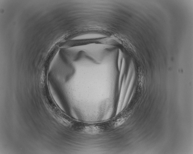 X0000080770591200701021123