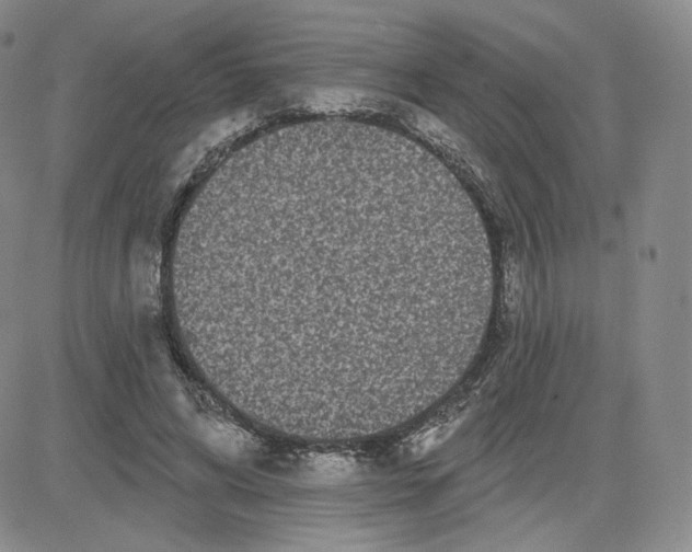 X0000080770592200701021123