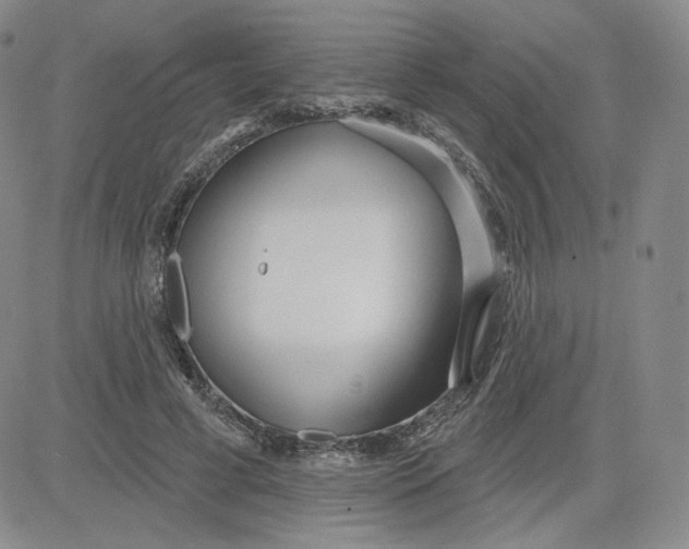 X0000080770593200701021123