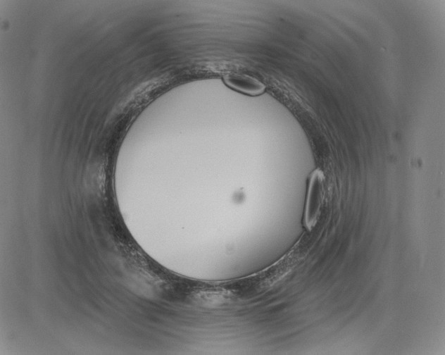 X0000080770595200701021123