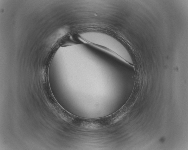 X0000080770597200701021123