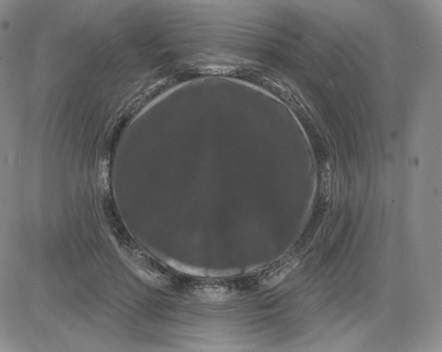 X0000080770598200701021123