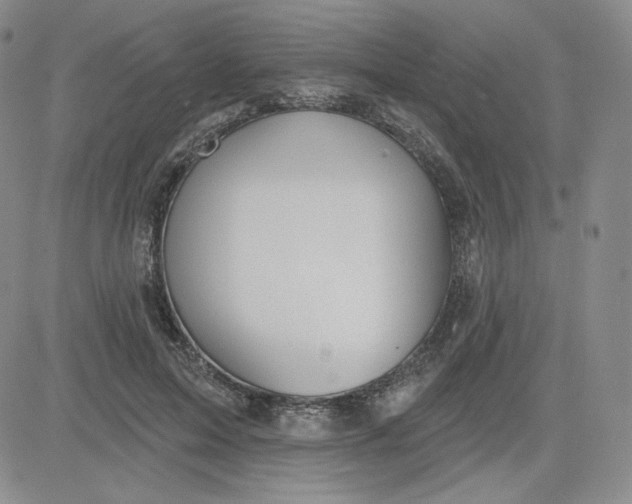 X0000080770599200701021123