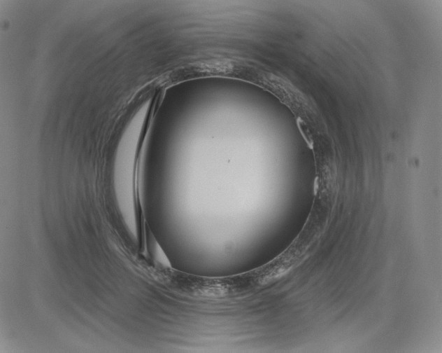 X0000080770600200701021123